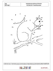 sayıları birleştir resmi tamamla